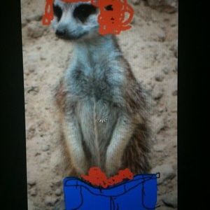 Meet your Posher, Shay